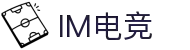 IM(股份有限公司)电竞-电子竞技平台